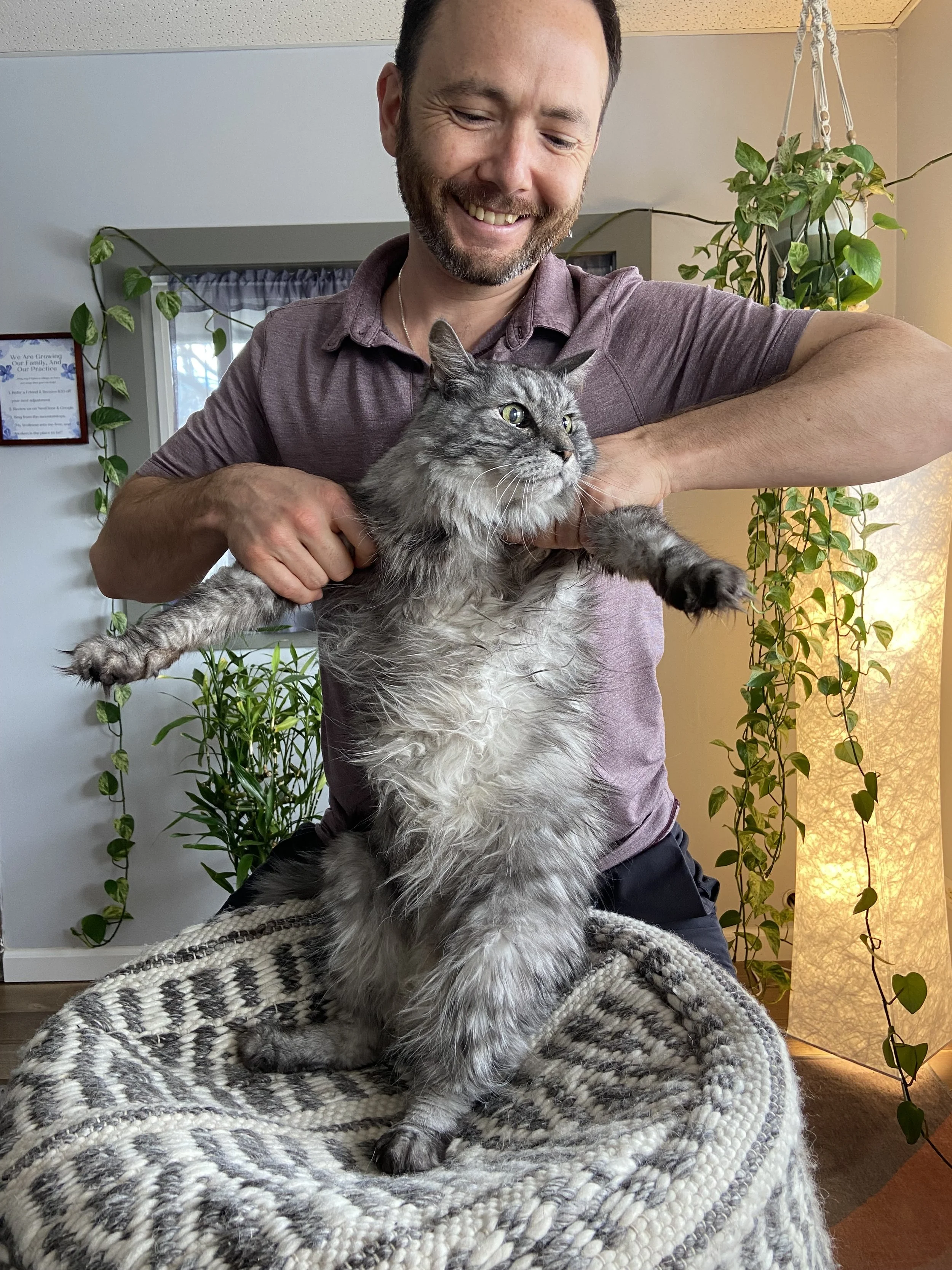 Dr. Dylan with a grey cat, laughing and gentle