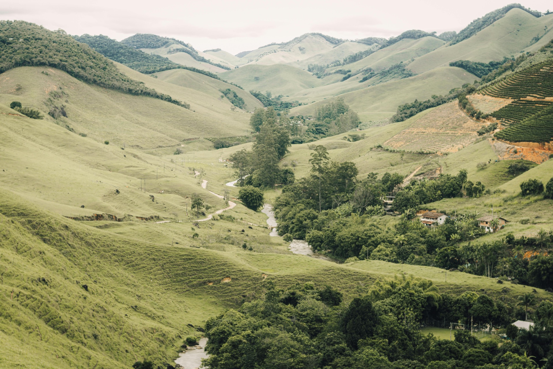 Lush green rolling hills and valley